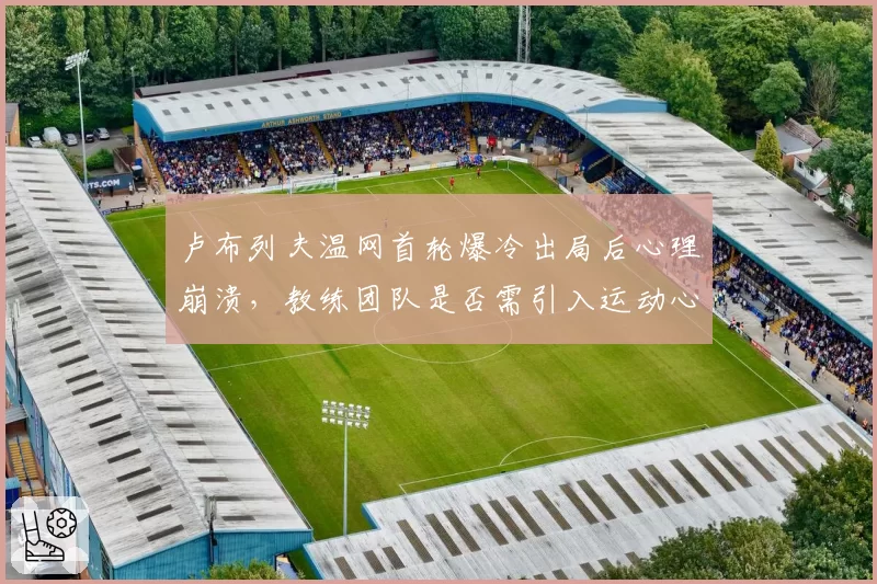卢布列夫温网首轮爆冷出局后心理崩溃，教练团队是否需引入运动心理学家？
