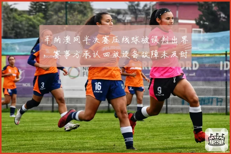 辛纳澳网半决赛压线球被误判出界,赛事方承认回放设备故障未及时告知