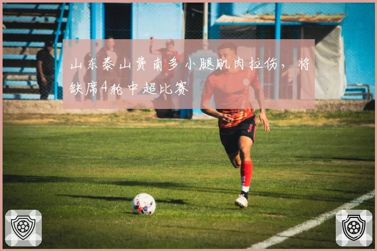 山东泰山费南多小腿肌肉拉伤，将缺席4轮中超比赛